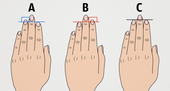 당신의 손가락의 길이는 당신의 성격에 대해 무엇을 말합니까?